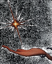 Healing Hands