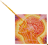 Human Brain